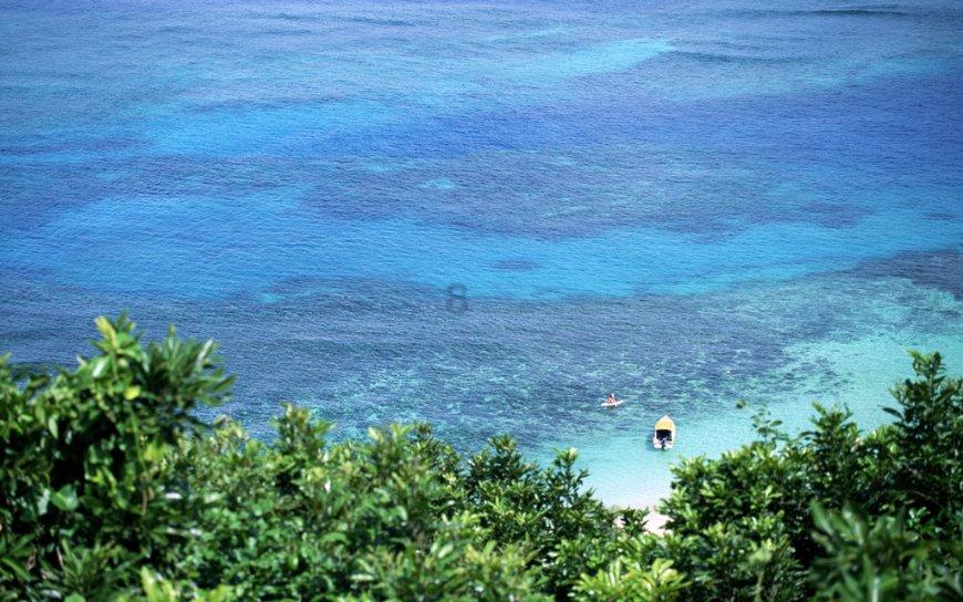 健康宣教下基层 社区医生开展冠心病防控宣传