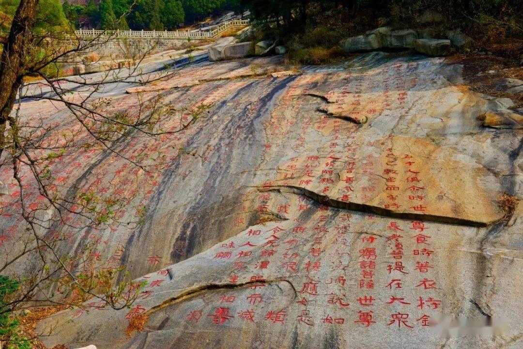 奥利姐妹换装